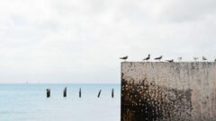 Photo by Jill Heyer (https://unsplash.com/photos/bbV7QzDUJus)