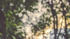 Photo by Ales Krivec (https://unsplash.com/photos/pCU3zt9OEn0)