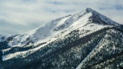 Photo by Drew Patrick Miller (https://unsplash.com/photos/B7mIW-x3g9s)