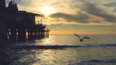 Photo by Tim Mossholder (https://unsplash.com/photos/P3ek4SMx_kc)