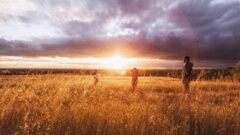 Photo by Jordan McQueen (https://unsplash.com/photos/1vsFPX_DLTM)