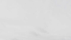 Photo by elizabeth lies (https://unsplash.com/photos/M3mxw-vol0o)