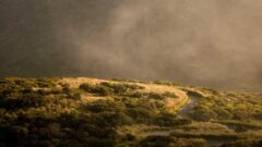 Photo by Eric Huang (https://unsplash.com/photos/r75qppvP-FE)